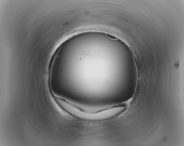 X0000096171523200802011307