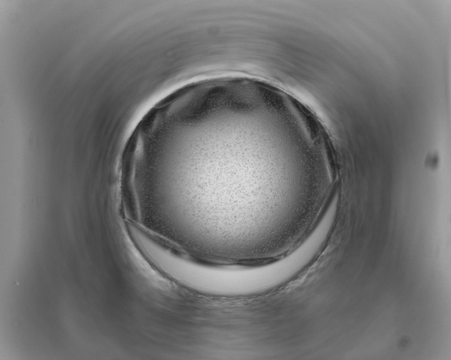 X0000096171524200802011307