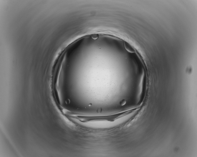 X0000096171525200802011307