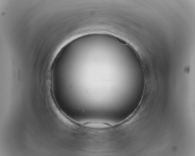 X0000096171526200802011307