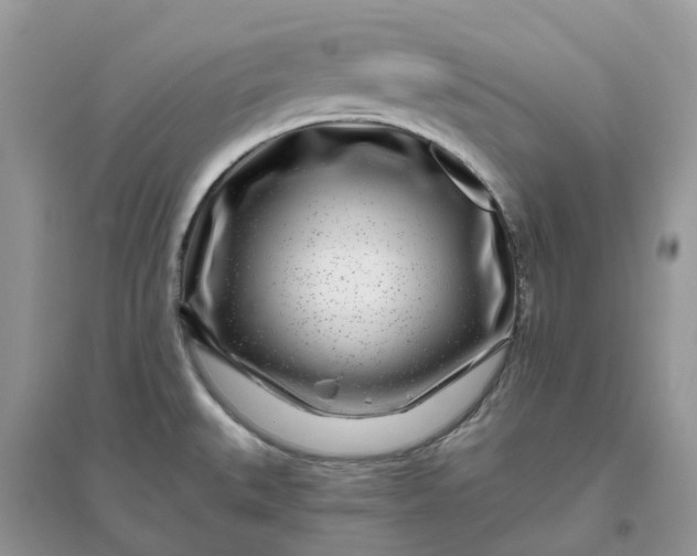 X0000096171527200802011307