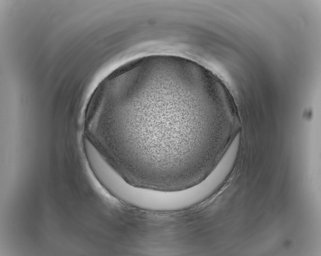 X0000096171528200802011307