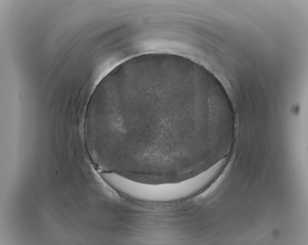 X0000096171529200802011307