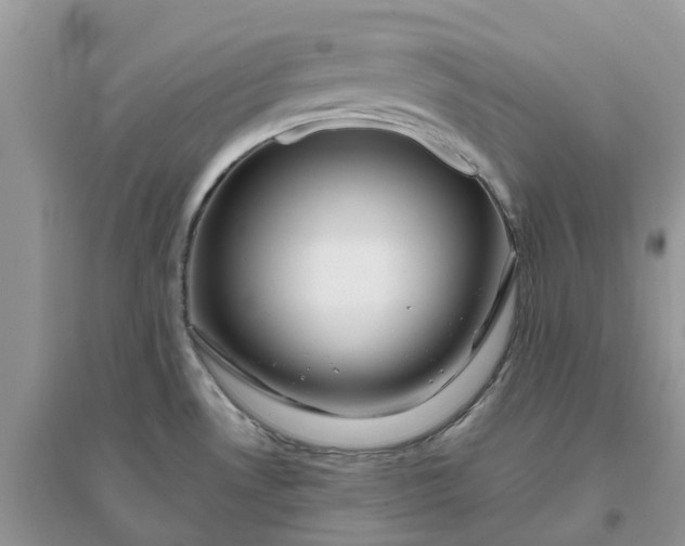 X0000096171530200802011307