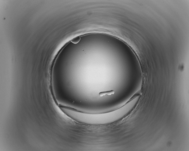 X0000096171531200802011307