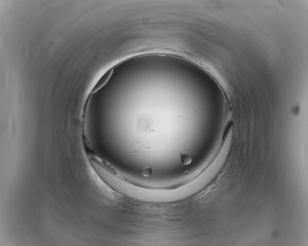 X0000096171532200802011307