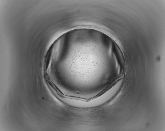 X0000096171533200802011307