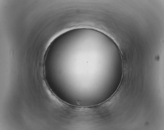 X0000096171534200802011307