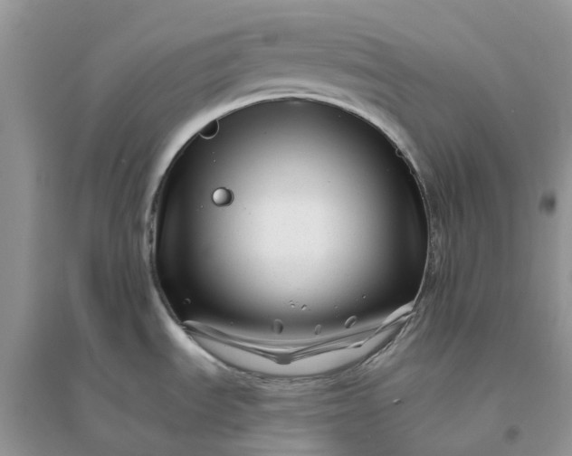 X0000096171535200802011307