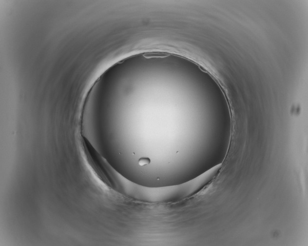 X0000096171536200802011307