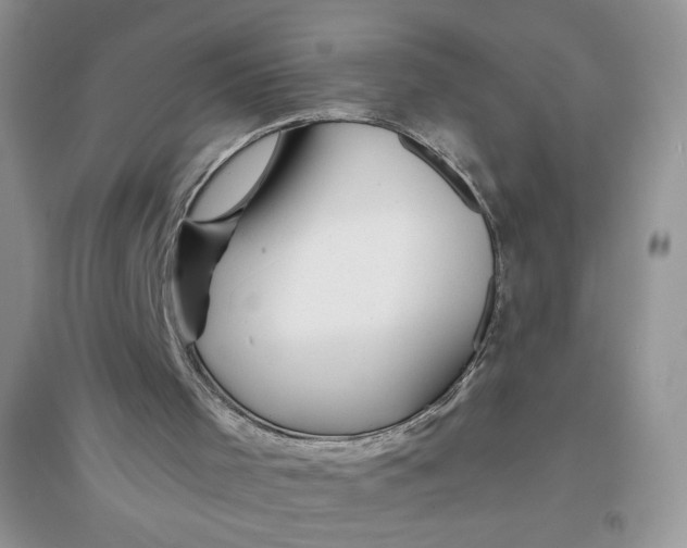 X0000096170001200802081421