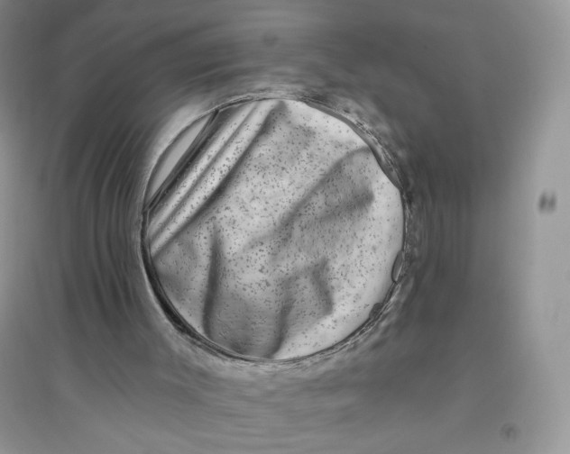 X0000096170003200802081421