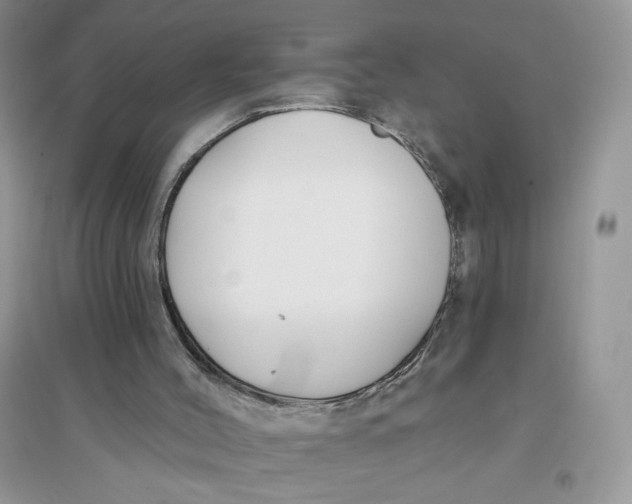 X0000096170004200802081421