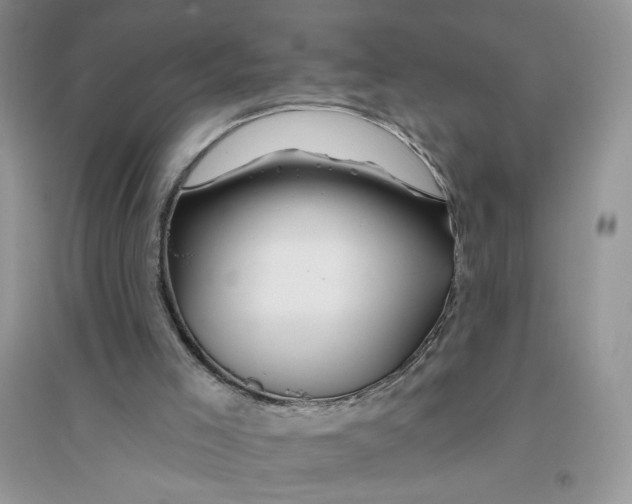 X0000096170005200802081421