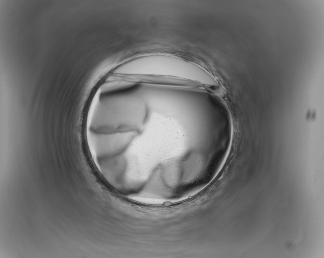 X0000096170006200802081421