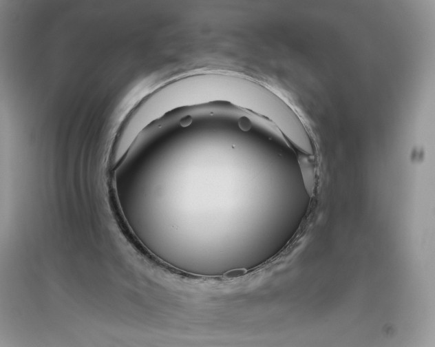 X0000096170007200802081421