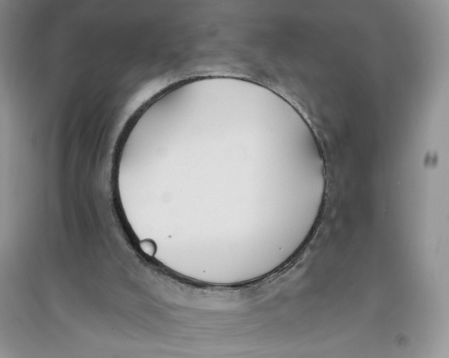 X0000096170008200802081421