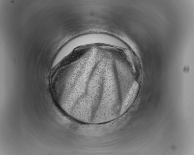 X0000096170009200802081421