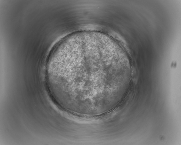 X0000096170012200802081421