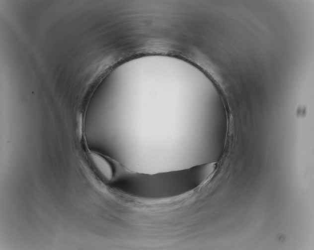 X0000096170013200802081421