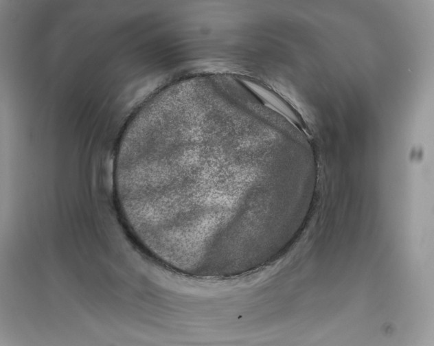 X0000096170014200802081421