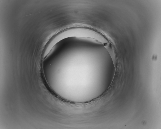 X0000096170015200802081421