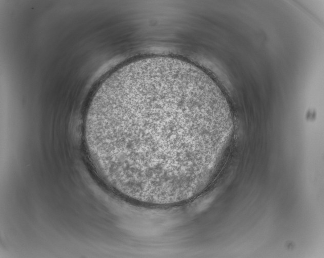 X0000096170016200802081421