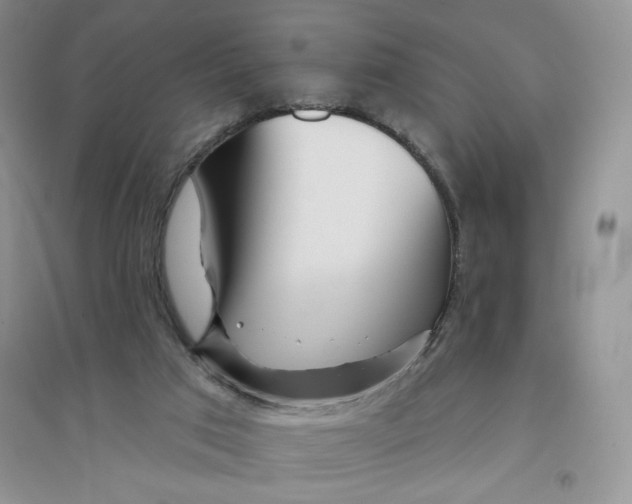 X0000096170017200802081421