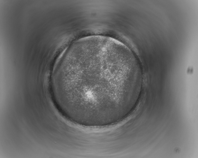 X0000096170018200802081421