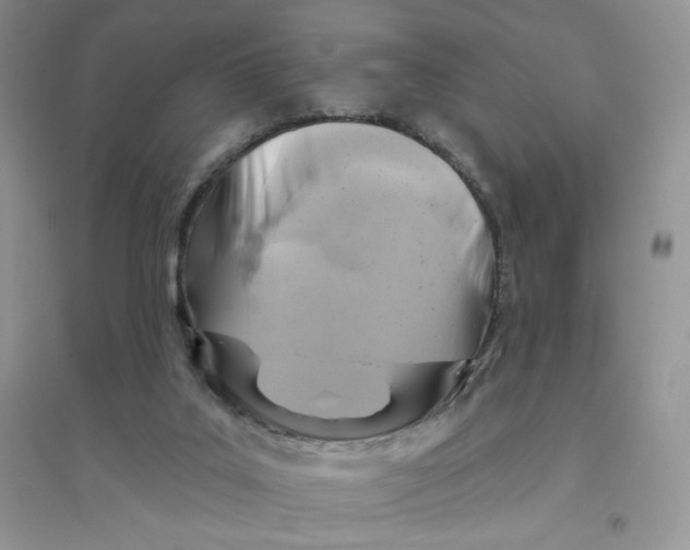 X0000096170019200802081421