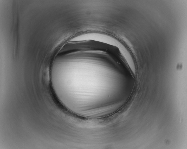 X0000096170020200802081421