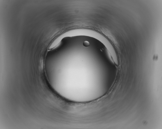 X0000096170021200802081421