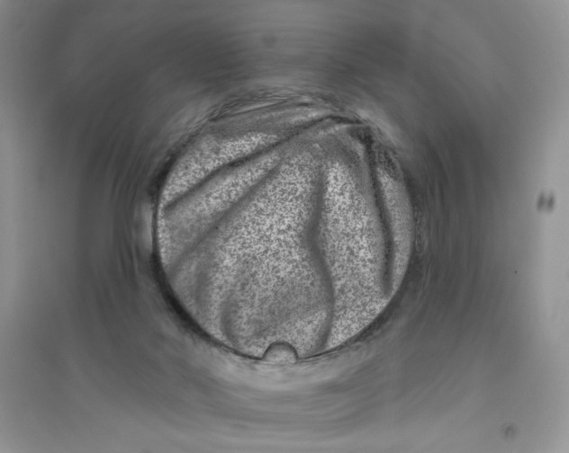 X0000096170022200802081421