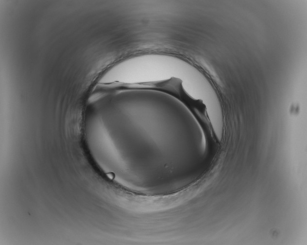 X0000096170023200802081421