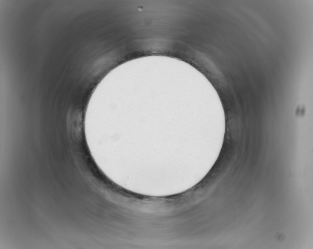 X0000096170024200802081421