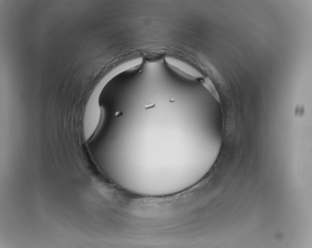 X0000096170025200802081421