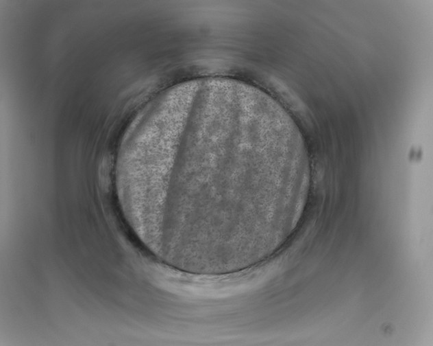 X0000096170026200802081421