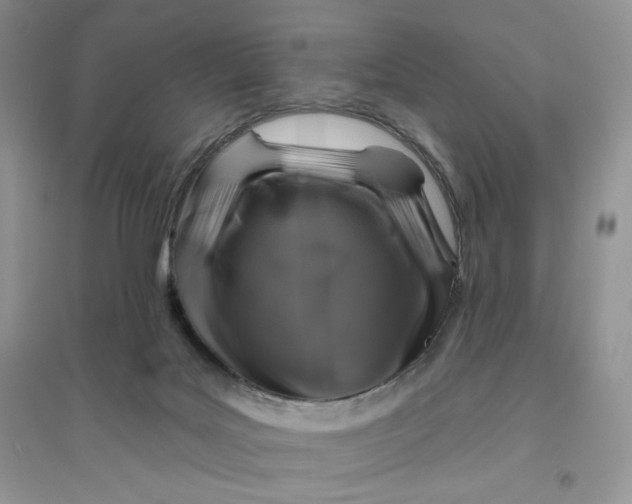 X0000096170027200802081421