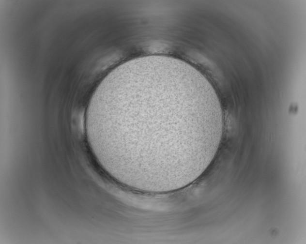 X0000096170028200802081421