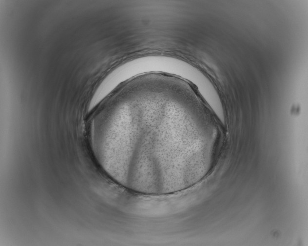 X0000096170029200802081421