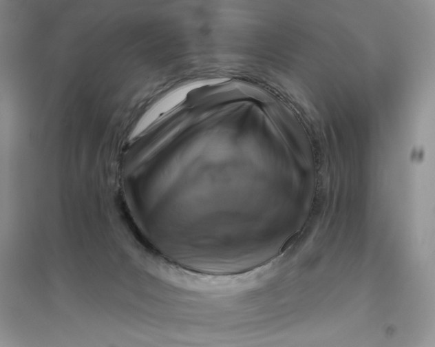 X0000096170031200802081421