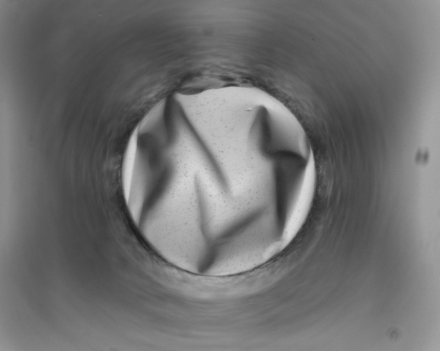 X0000096170034200802081421