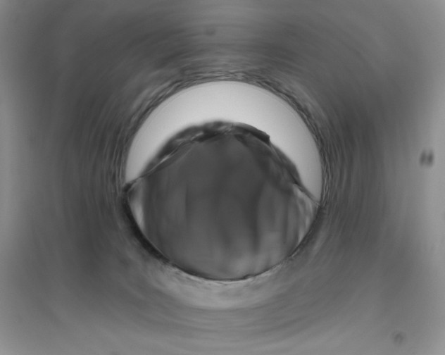 X0000096170035200802081421