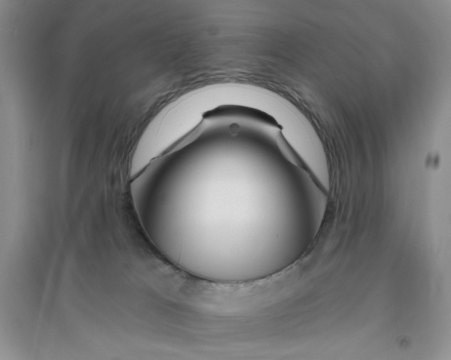 X0000096170037200802081421