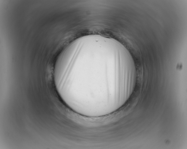 X0000096170038200802081421