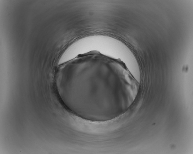 X0000096170039200802081421