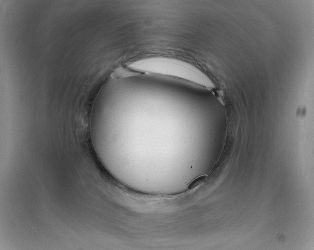 X0000096170040200802081421