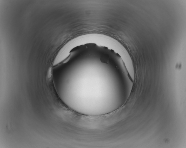 X0000096170041200802081421