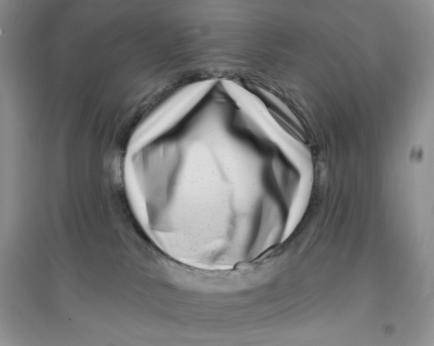 X0000096170042200802081421