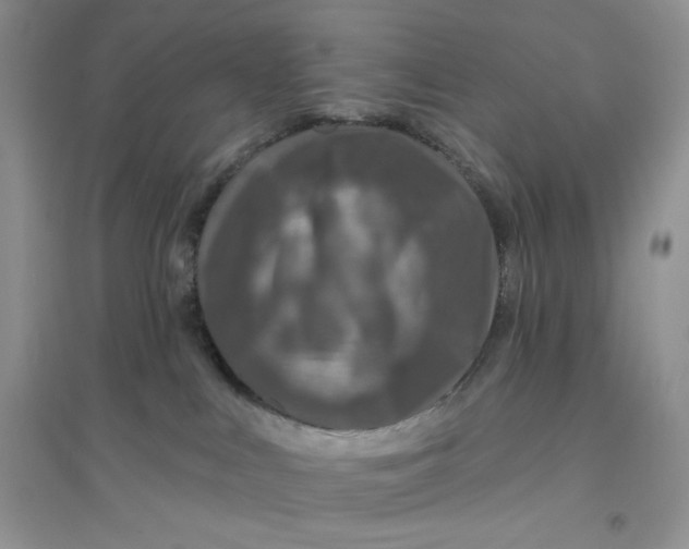 X0000096170043200802081421